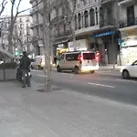 Aribau